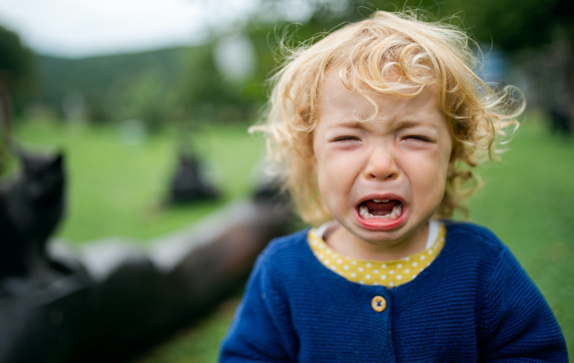 Portrait of small girl outdoors in garden, crying
